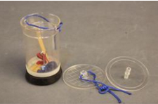 大氣壓係列實驗器