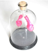 膈肌運動模擬（nǐ）器