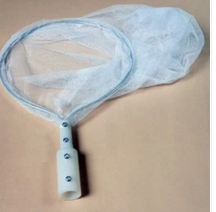 昆蟲網(捕蟲網（wǎng）)