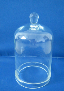 玻（bō）璃鍾罩