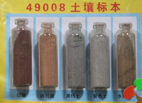 土壤標本