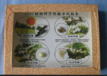 植物種子傳播方式標（biāo）本（běn）